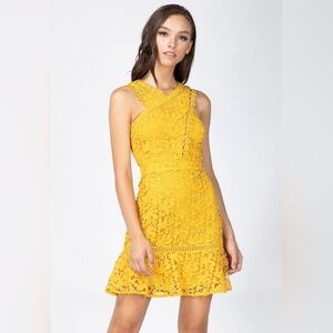 Adelyn Rae Mustard Yellow Lace Fit-and-Flare Mini Dress